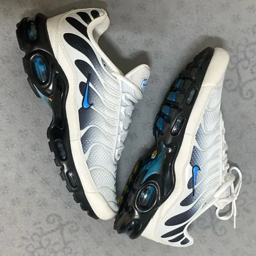Nike Air Max Plus (TN) Platinum ? Dark Blue | Tam 42