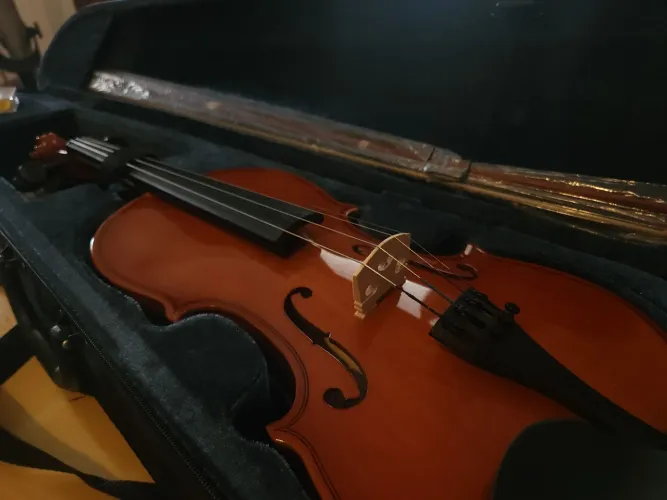 Violino 4/4 Vivace + arco + breu + estojo