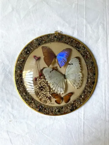 Quadro Decorativo de Borboletas Naturais