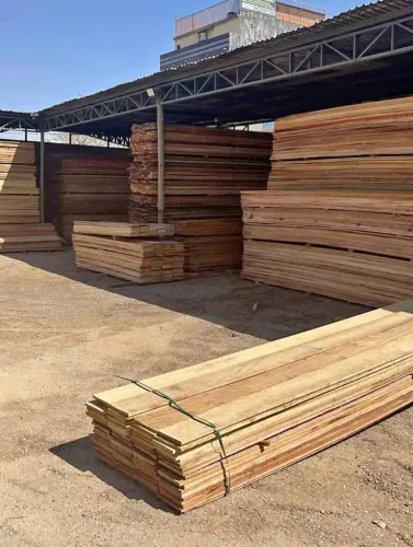 Tabua pinus 30 cm