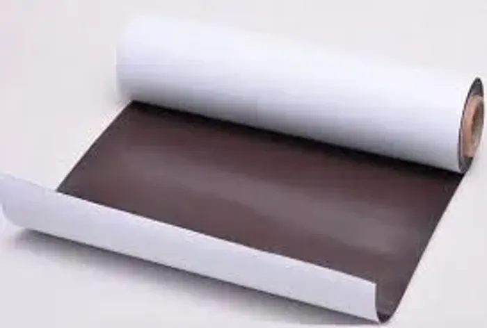Imã Manta magnética geladeira imantada imada ima adesivada mimo lembrancinha