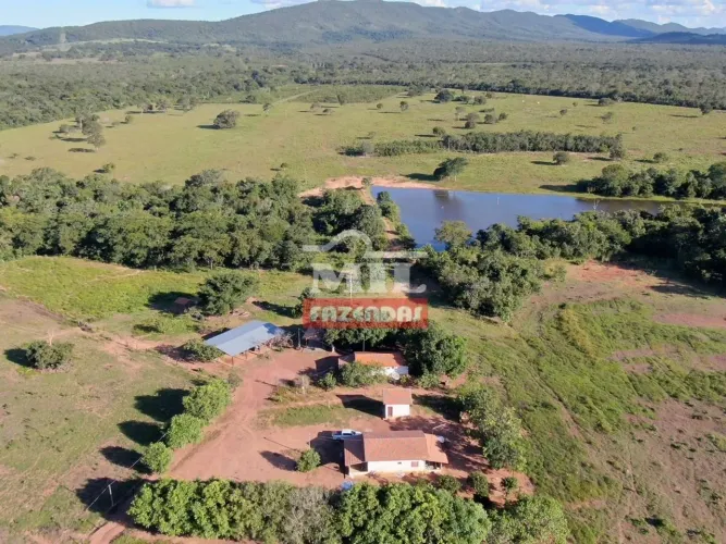 Fazenda 185 alqueires município de Peixe-TO.