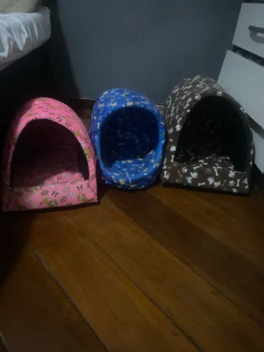 Conforto para gatinhos dormir.