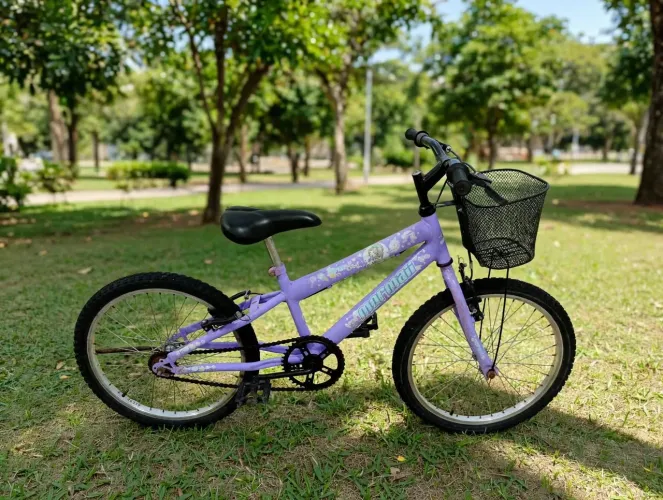 Bicicleta infantil aro 20