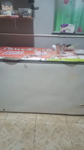 Frizer Consul 2 portas