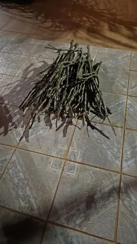 Poleiros Naturais 
