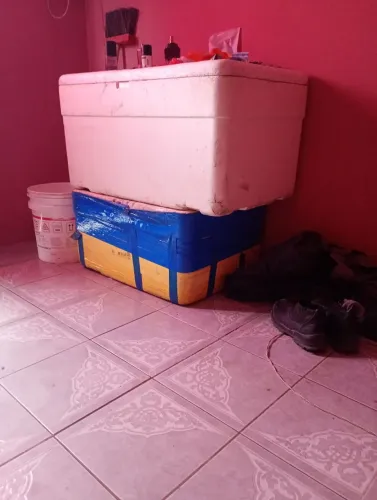 Vendo 3 caixas de isopor,uma se 170 litros e duas de 130.250 as 3 semi nova
