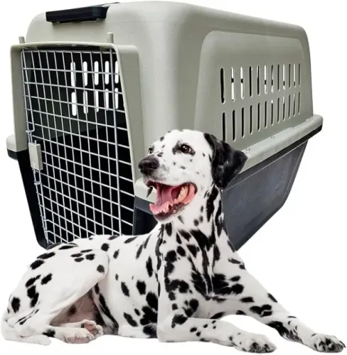 Caixa de Transporte Pet Grande Porte