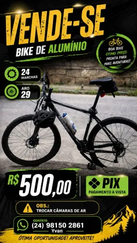 Bike aro 29