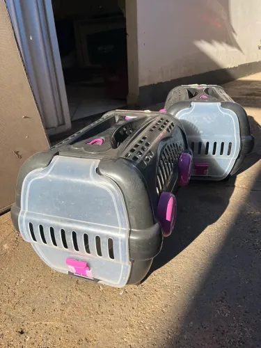Caixa de transporte de Pet
