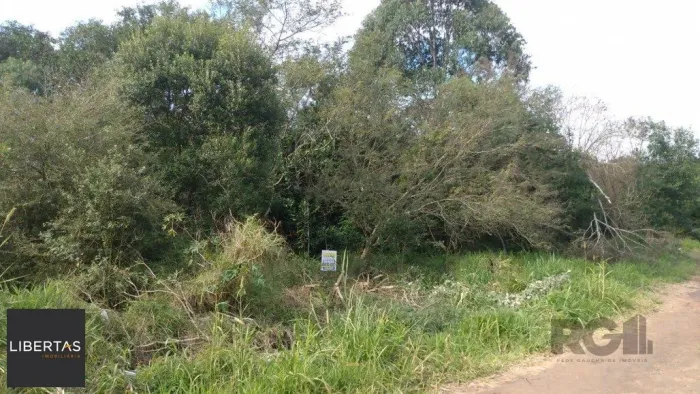 Terreno à venda Lomba do Pinheiro Porto Alegre/RS