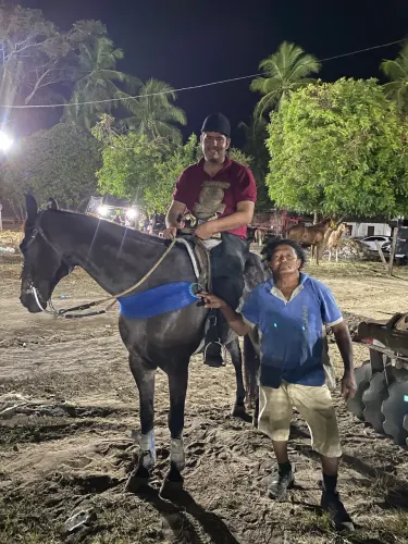 Cavalo de vaquejada
