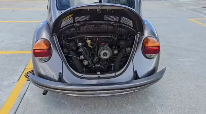 Volkswagen Fusca Fusca (gasolina) 1995