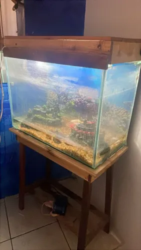 Aquário para Peixes 