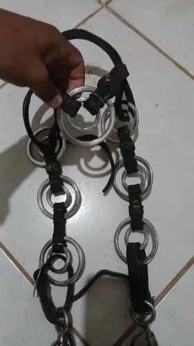 Cabeçada de argola