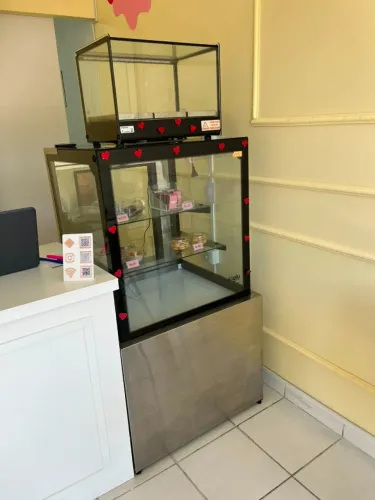 Vitrine natural + Estufa IGLU NOVA