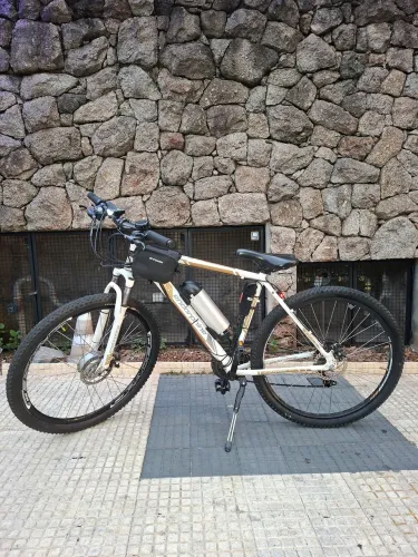 Bike Elétrica Gonew Endorphine 29 Mountain Bike com Kit Tec-Bike 350W