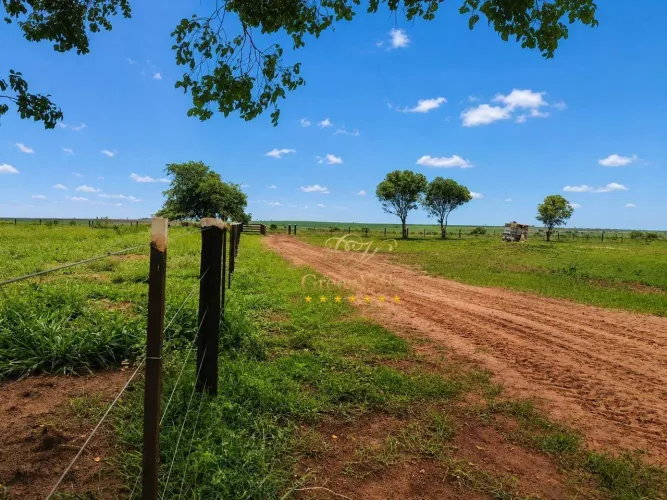 Mato Grosso do Sul | 3.454 Hectares | Excelente Potencial Agrícola e Pecuário