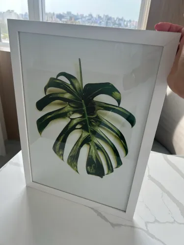 2 Quadros Natureza