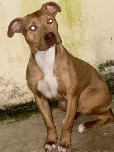 Doa se pit monster de 9 meses 