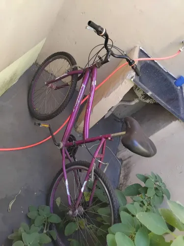Baike pra ir hoje