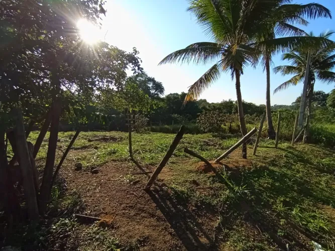 CHÁCARA À VENDA EM XURI - VILA VELHA/ES <br> Comunidade de Xuri<br> Terreno com 1.000m²