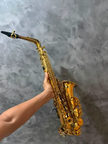 Sax alto Michael/ c acessórios