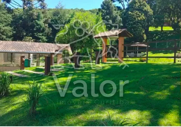 Venda FAZENDA BOCAIUVA DO SUL PR Brasil