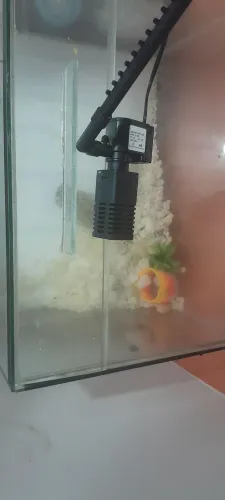 Aquário 50l com bomba R$ 200,00