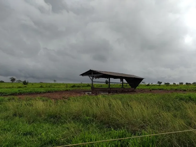 330 alqueires no Pará por 24milhões de reais