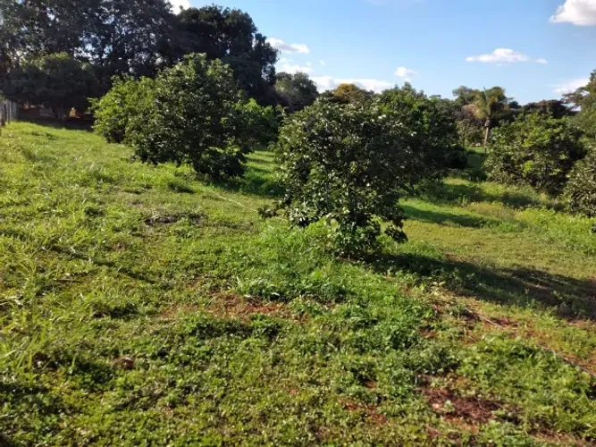 Curvelo/MG - Fazenda de 75HA - R$2.000.000,00