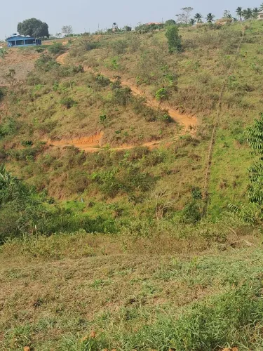 vende ser chácara de 3mil metros quadrados 