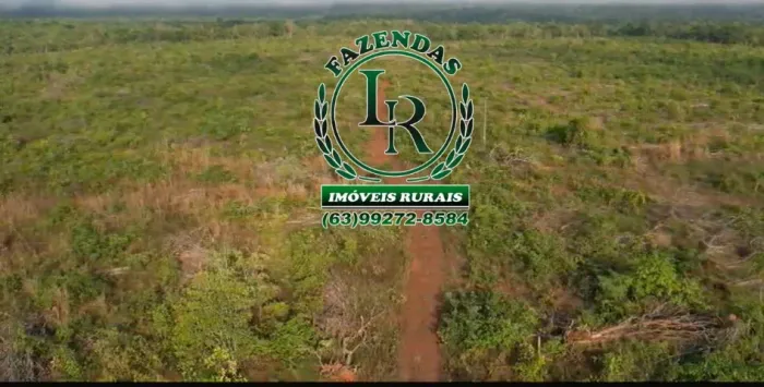 Fazenda 112,5 Alqueires Beira Rio Próximo a Palmas