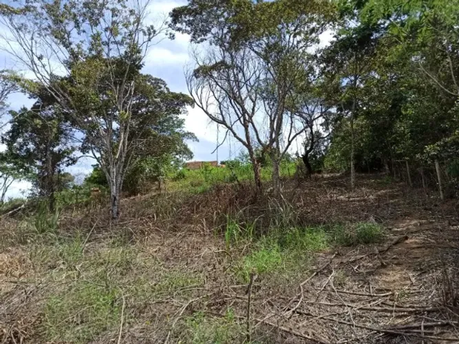 Excelente lote georreferenciado em Bom Jesus do Amparo com 2,94 hectares