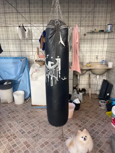 Saco de Boxe Profissional - Apout
