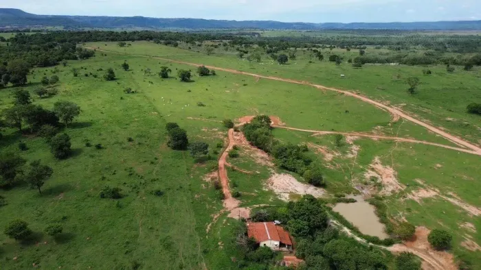 R$130 Milhões Fazenda de 323 alqueires em São Luís Montes Belos-GO