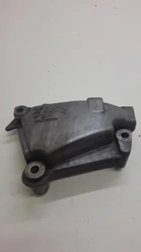 Tampa Frontal Motor Citroën C3 1.4 2009 / 2010 N *0