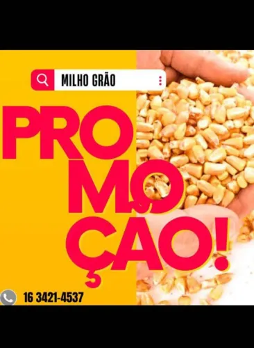 RAÇÃO PARA GALINHAS E PINTINHOS