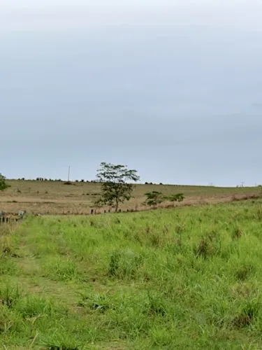 Chácara em Rinópolis de 2.75 alqueires