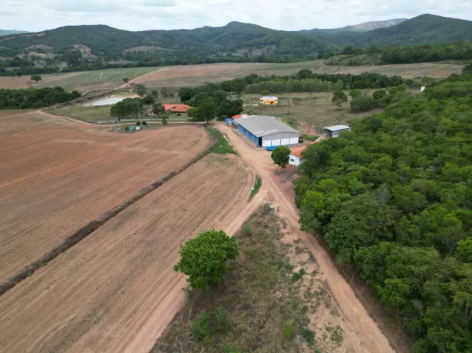 Fazenda à venda São Francisco de Goiás