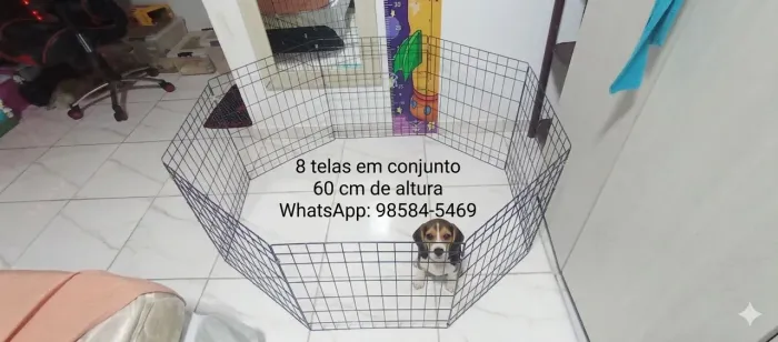 Cercadinho para cachorro