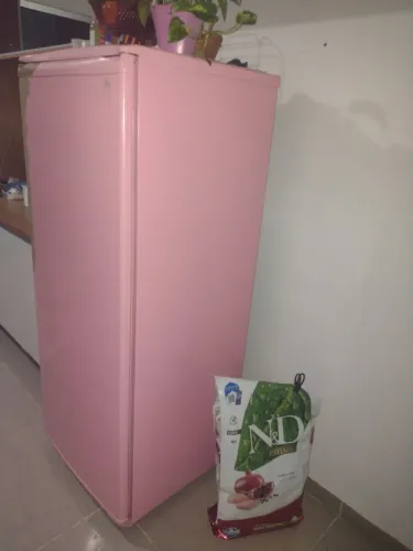 Geladeira Consul