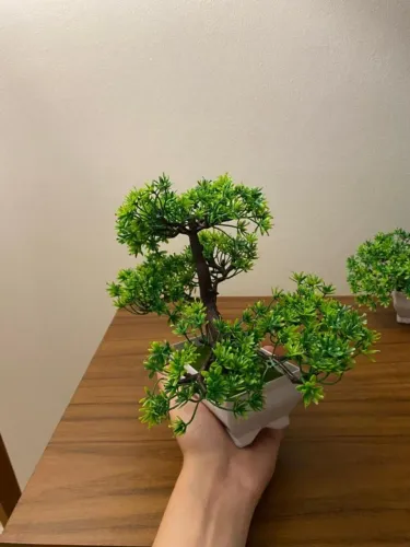 Desapego! Bonsai Decorativo Artificial Novo | Decoração Moderna