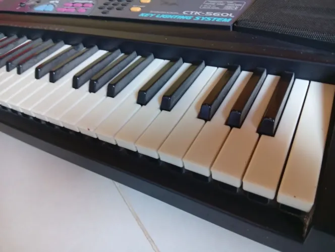 Teclado casio CTK-560L