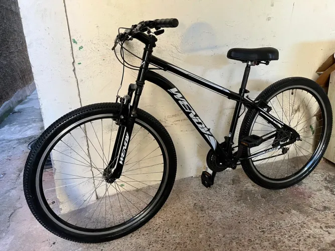BICICLETA ARO 29 (pegar e andar/passo cartão)