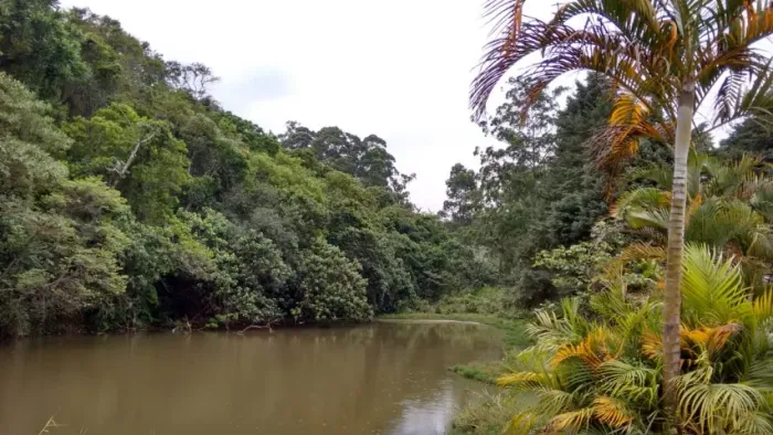 Terreno Parque Rizzo Cotia