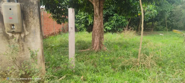 Terreno