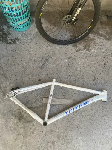Quadro totttem aro 29