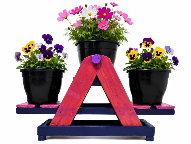 Jardineira e vasos com flores(amor perfeito e cosmea sensação)