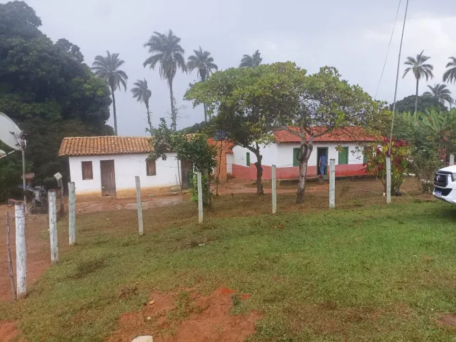 Fazenda 700 Hectares com potencial café e Eucalipto!!!!